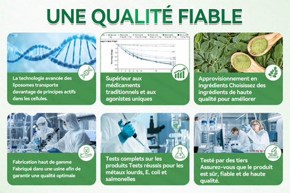 [Magasin officiel phare] 👩‍⚕️ | Purelora® Moringa · Berbérine × NAD+ 10-en-1 Patch Nano-Aiguilles Avancé 🇫🇷 | 𝘽𝙖𝙠𝙚𝙙 𝙗𝙮 𝙨𝙘𝙞𝙚𝙣𝙘𝙚 | Formule 10-en-1 | Résultats en 7 jours ⏳